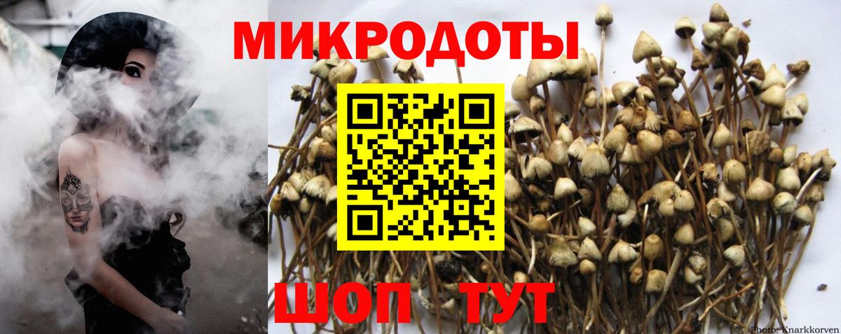Галлюциногенные грибы мухоморы Вязники