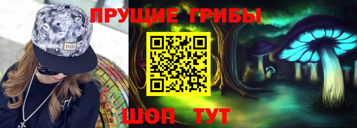 Вязники  Галлюциногенные грибы Cubensis  Вход с VPN 